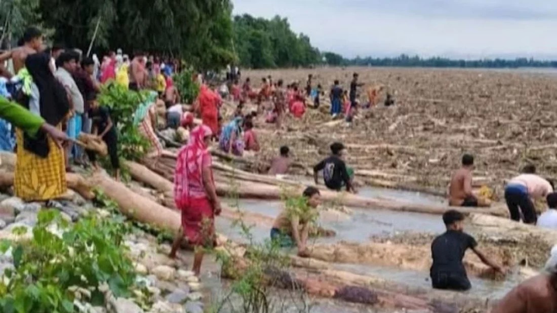 ভারত থেকে ভেসে এলো হাজার হাজার গাছের গুঁড়ি